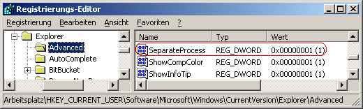 SeparateProcess (Registrierung)