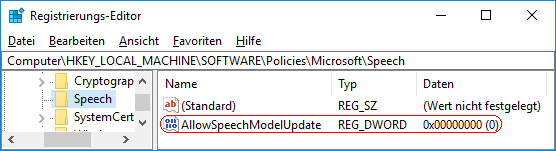 AllowSpeechModelUpdate