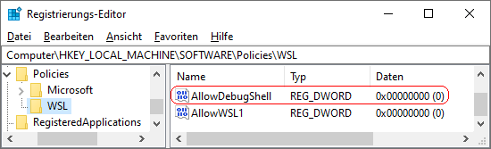 AllowDebugShell