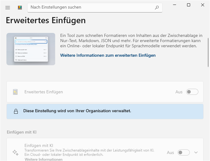 "Erweitertes Einf&uuml;gen" ("Advanced Paste")