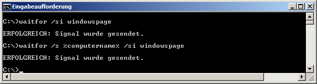 waitfor /si windowspage