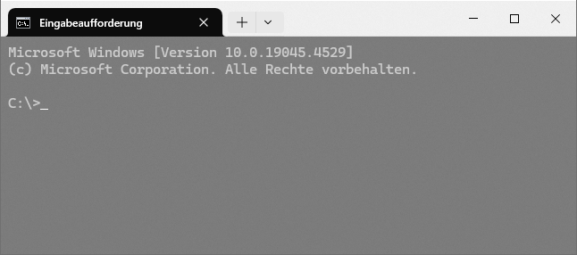 Nicht aktives Terminal-Fenster mit Transparenz